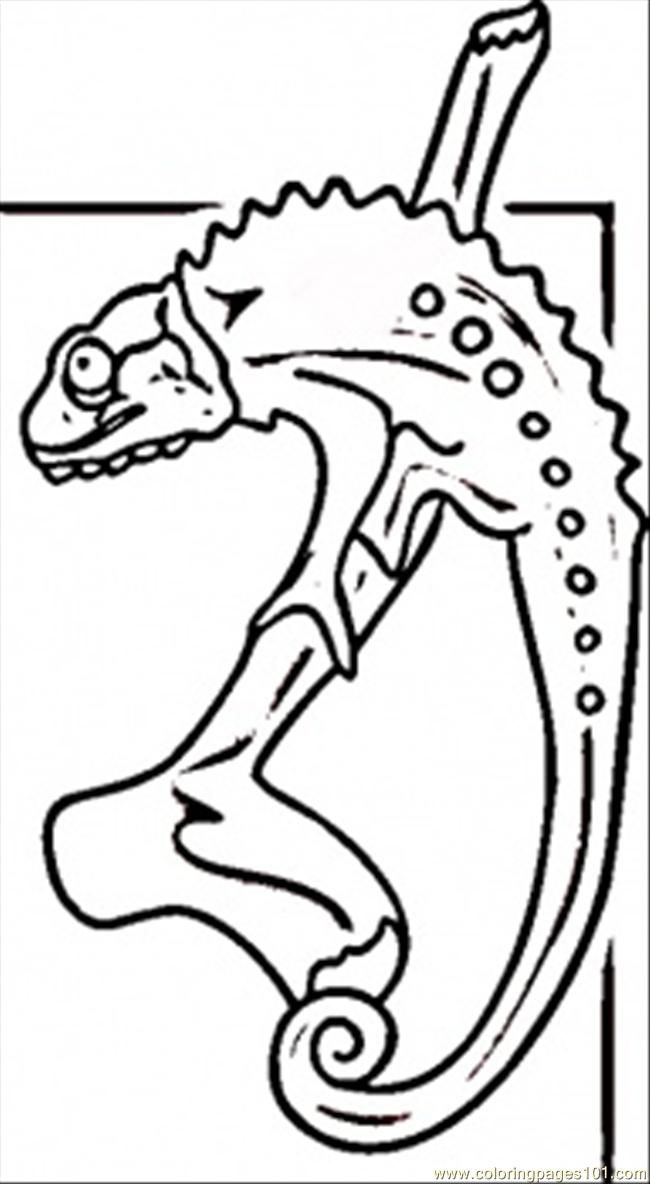 Coloring Pages Lizard From Madagascar (Countries > Africa) - free 
