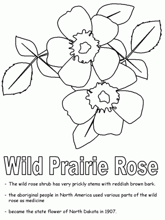 Wild Prairie Rose coloring page