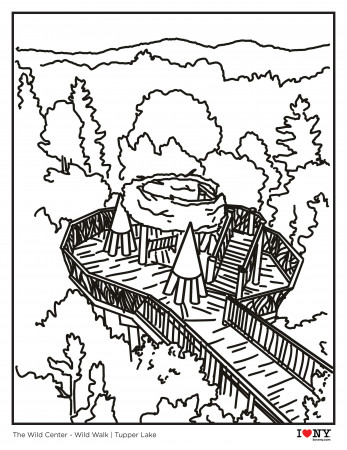 Family-Friendly Activities I Coloring Pages from New York State