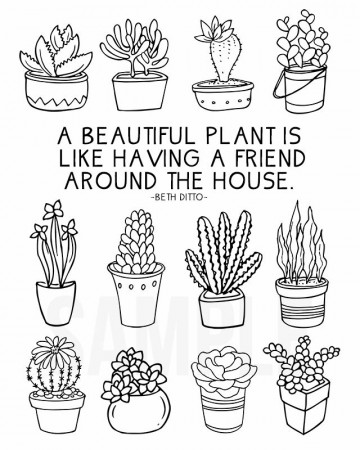Coloring Sheet for Plant Lovers in 2022 | Plant doodle, Botanical line  drawing, Cactus drawing