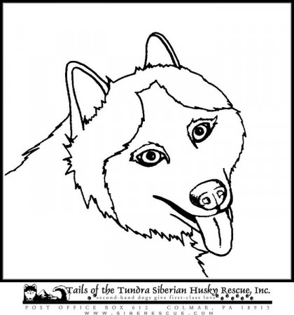 Science The Fun Zone Coloring Book Husky Coloring Book, Printable ...