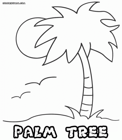 Palm tree coloring pages | Coloring pages to download and print