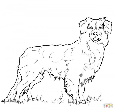 Golden Retriever Puppy coloring page | Free Printable Coloring Pages