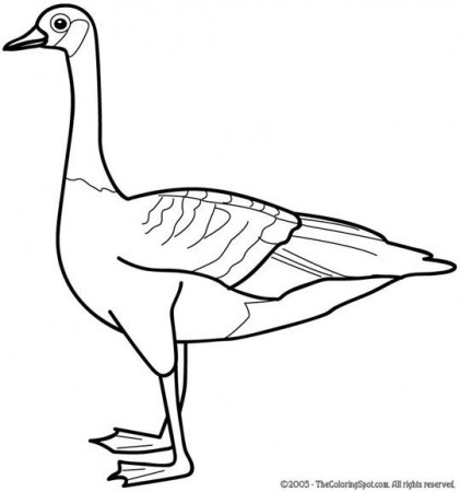 Goose coloring pages | Goose 1 | Free printable coloring pages for kids |  Coloring pictures .… | Free printable coloring sheets, Bird coloring pages, Coloring  pages