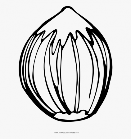 Nut Coloring Page - Nut Coloring Pages , Free Transparent Clipart -  ClipartKey
