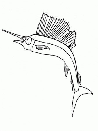 sailfish coloring pages - Clip Art Library