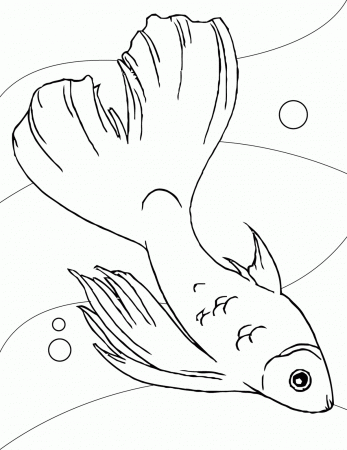 Coloring : Coloring Pages Fish Fisher Cat Attack Fish Market Maui ...