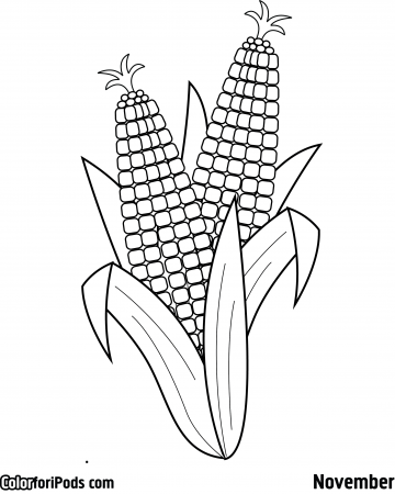 Ear Of Corn Coloring Page - Coloring Pages for Kids and for Adults