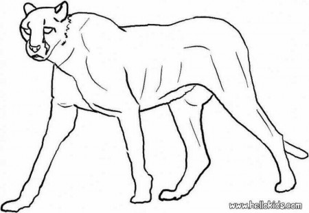 JUNGLE ANIMALS coloring pages - Black Panther