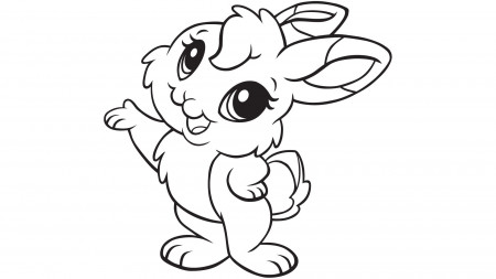 Bunny Coloring Pages (20 Pictures) - Colorine.net | 17764