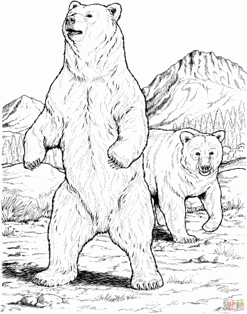 Two Black Bears coloring page | Free Printable Coloring Pages