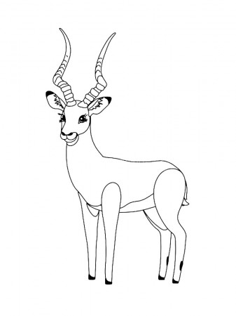 Free Impala coloring pages. Download and print Impala coloring pages