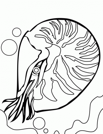 7 Pics of Coral Reef Fish Coloring Pages - Coral Reef Animals ...