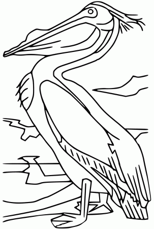Pelican Coloring Pages - GetColoringPages.com