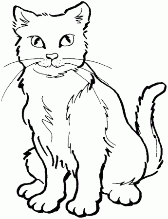 Realistic Cat Coloring Pages - Get Coloring Pages