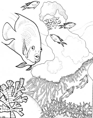 Coral Reef and Fish Coloring Page