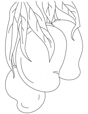 Bunch of mango coloring pages | Download Free Bunch of mango ...