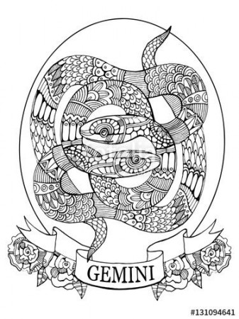 Gemini Colouring