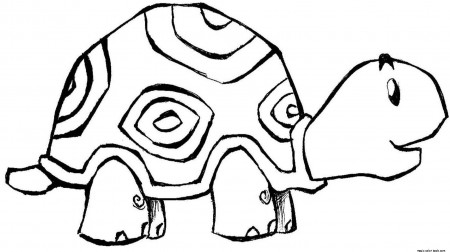 19 Free Pictures for: Turtle Coloring Page. Temoon.us