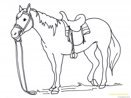 Coloring Picture : Horse Pages Printable And Cowboy Book ...
