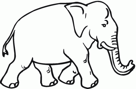 Elephant Coloring Pages - Dr. Odd