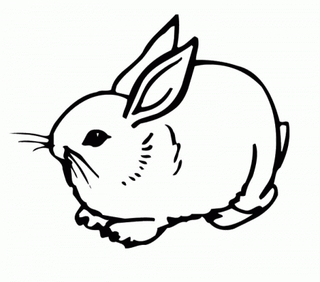 Cute Bunny Rabbit Coloring Page, Bunny Rabbits Coloring Pages AZ ...