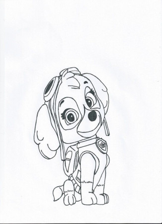 Skye Paw Patrol Coloring Page - HiColoringPages