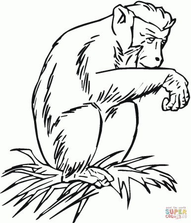 Chimpanzee coloring pages | Free Coloring Pages