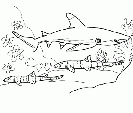 Blue Shark coloring page - Animals Town - Animal color sheets Blue ...
