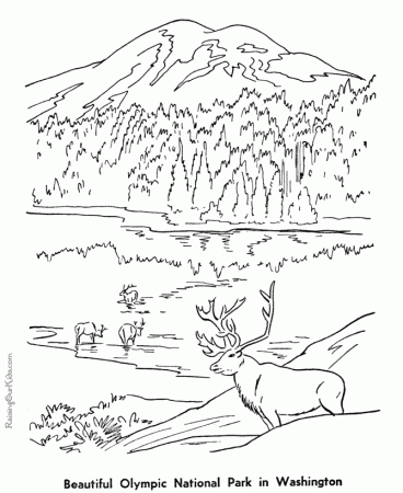 Olympic National Park coloring page - 022