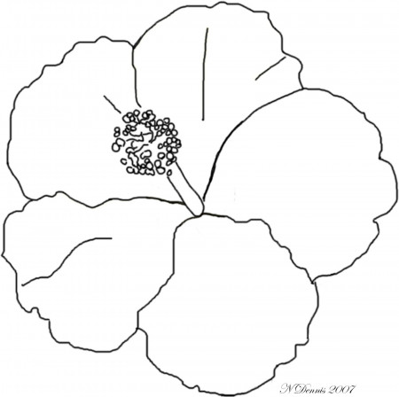 Adult Coloring Page For Hibiscus Flower - Coloring Pages For All Ages