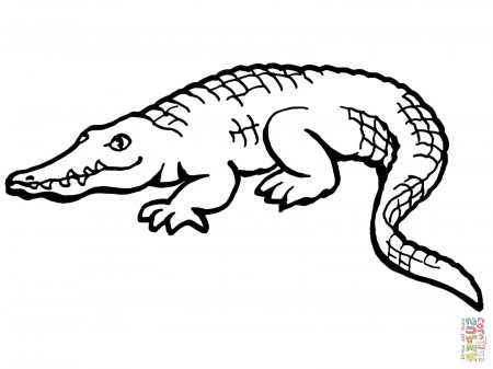 30 Most Bang-up Crocodile Coloring Page Alligator Pages For Kids ...