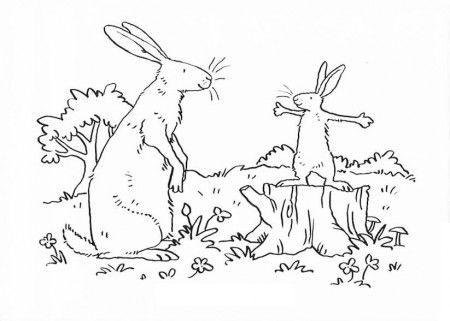 Guess How Much I Love You Big Nutbrown Hare Listen Carefully to ...