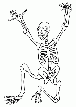 skeleton for kids