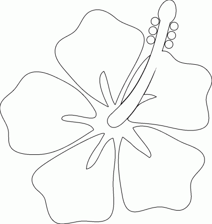Hawaiian Flower Coloring Page WeColoringPage 14 | Wecoloringpage