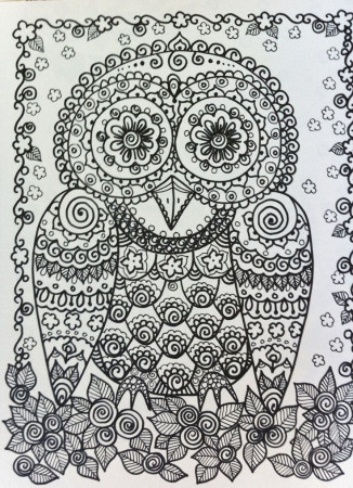 COLORING BOOK OWLS Have some fun and be the artist Original Cute ...