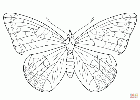 Painted Lady Butterfly coloring page | Free Printable Coloring Pages
