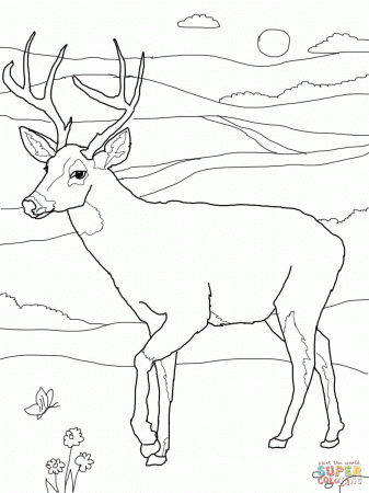 Hunting Coloring Pages Printable Bow Hunting Coloring Pages. Kids ...