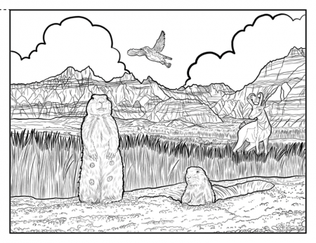 National Park Coloring Book – YouTopo