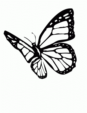 Monarch Erfly Coloring Pages Online - Coloring Page
