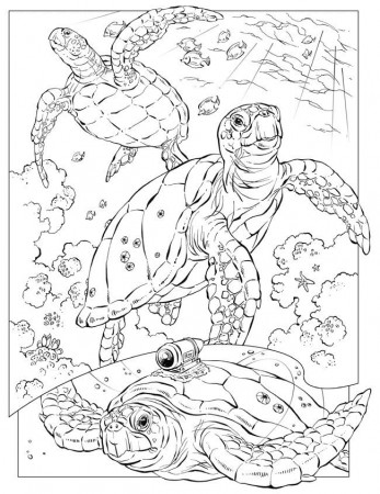 Coloring pages | Coloring Pages ...