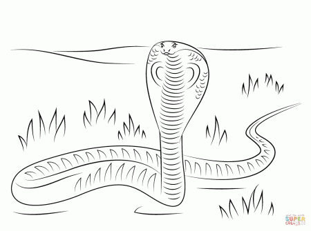King Cobra coloring page | Free Printable Coloring Pages