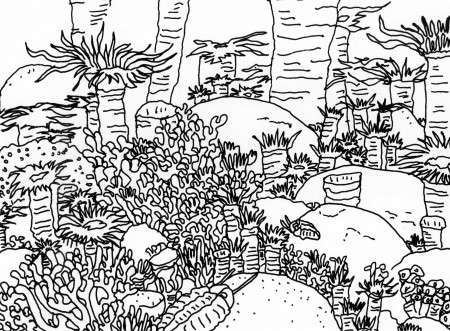 Free Adult Devonian Coral Reef Scenes Coloring Pages Online