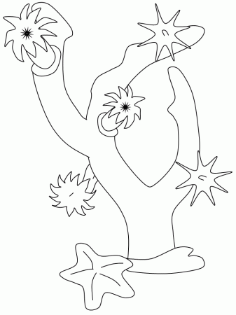 11 Pics of Sea Coral Reef Coloring Pages Of Animals - Coral Reef ...