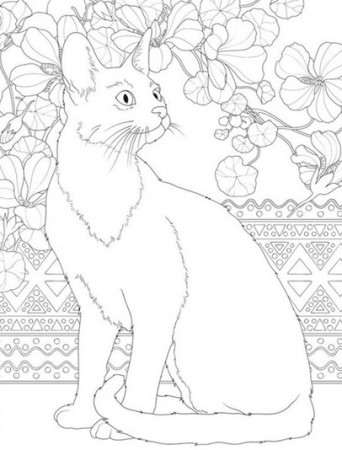 Cat Coloring Pages: Best 15 Free Cat Colouring Sheets for Kids