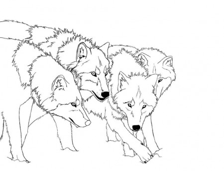 Anime Wolf Face Coloring Pages - Coloring Pages For All Ages