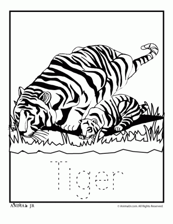 Zoo Animal Coloring Pages: Baby Tiger - Woo! Jr. Kids Activities
