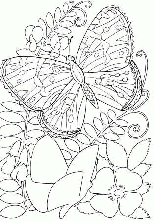 Butterflies and insects coloring pages 28 / Butterflies and ...