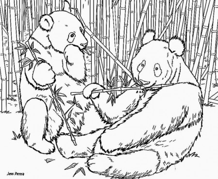 Panda Bear Coloring Pages | Free Coloring Pages