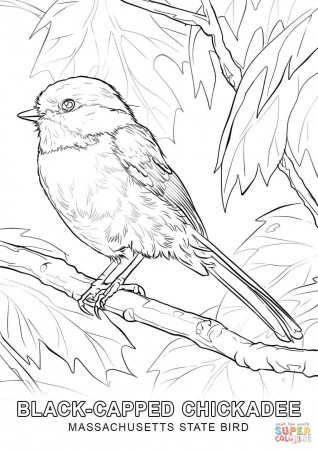 Coloring Page Of Alabama State Bird - High Quality Coloring Pages